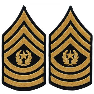 Pilot WIng