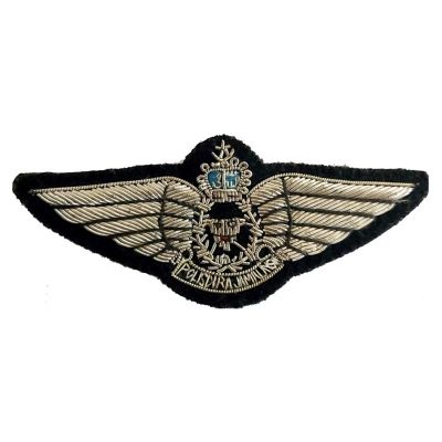 Pilot WIng