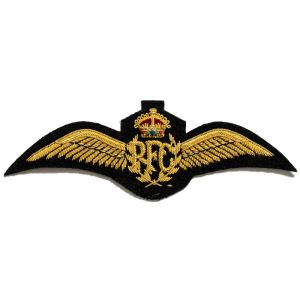 Pilot WIng